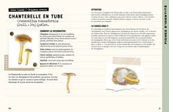 Mon carnet nature : Champignons