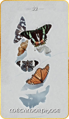 L'Oracle de la numérologie karmique