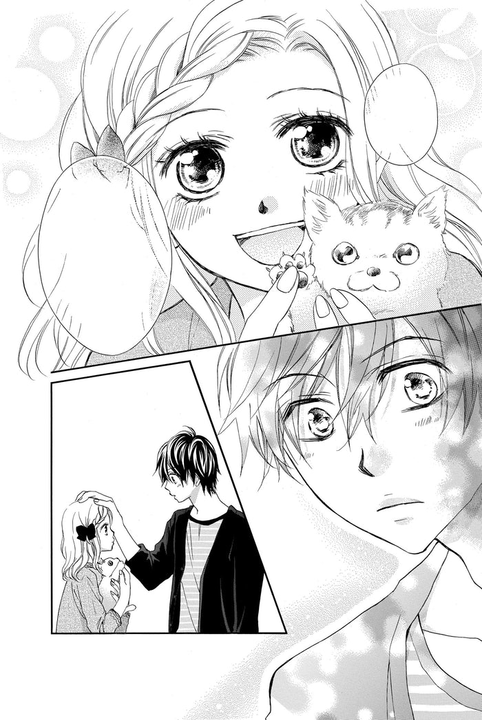 Koi Furu Colorful T06