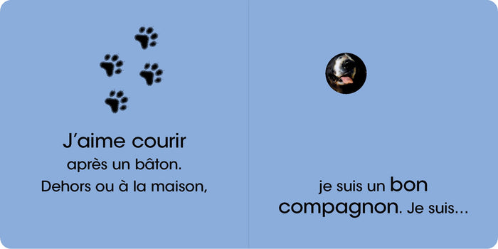 Cache-cache au musée