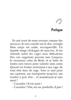 Triple Galop - Poche - tome 05