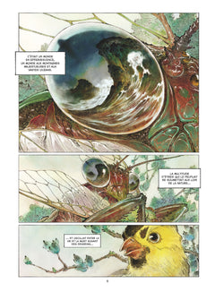 Les Brumes écarlates - Les Rebelles