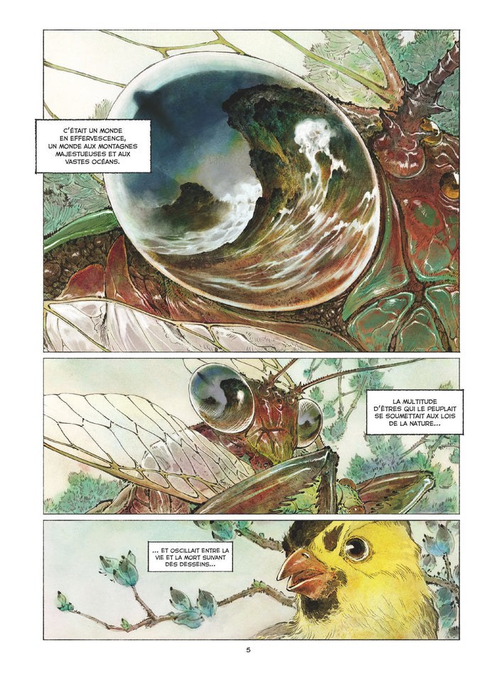 Les Brumes écarlates - Les Rebelles