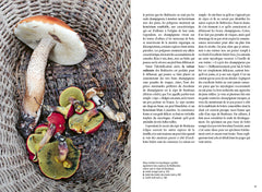 Reconnaître les bons champignons - Guide de terrain