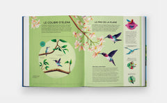 Petits champions de la nature