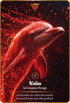 L'oracle des Maîtres Dauphins - Une invitatin à l'Eveil