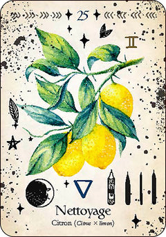 Oracle de la magie verte - Découvrez les vrais secrets de la magie botanique