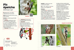 Reconnaître & retenir les chants d'oiseaux - La méthode en 5 étapes - 85 espèces et 180 chants