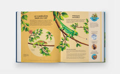 Petits champions de la nature