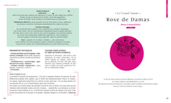 Le grand livre des huiles essentielles