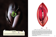 My Dear Vagina