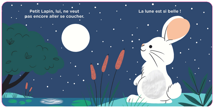 Au dodo, Petit Lapin !