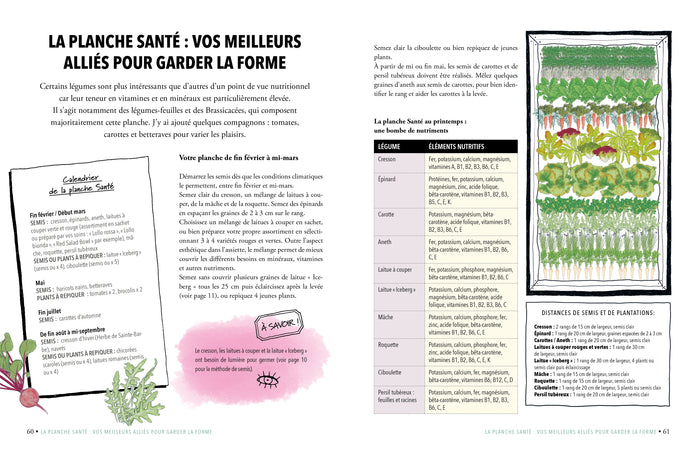Mon potager bio surélevé