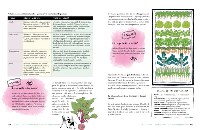 Mon potager bio surélevé