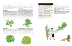 Mon potager bio surélevé