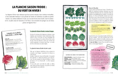 Mon potager bio surélevé