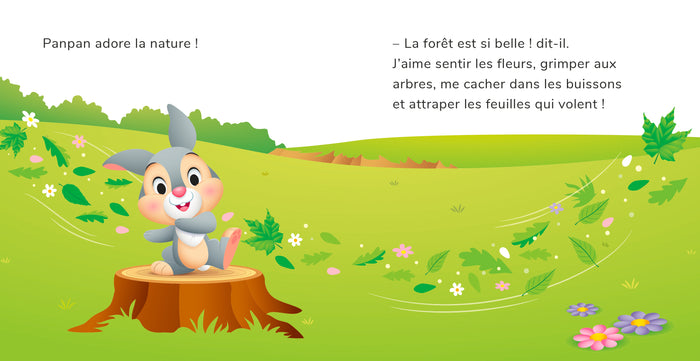 Panpan découvre la nature