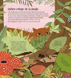 Les petits mondes de la terre