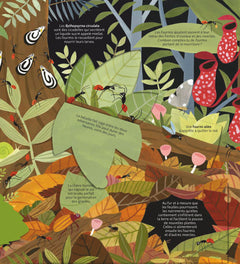 Les petits mondes de la terre