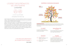 Yoga au fil des saisons