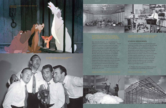 The Walt Disney studios - La naissance de la magie