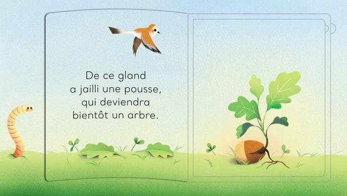 Tout un monde : L'arbre