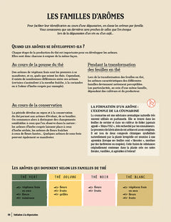 Le Thé c'est pas sorcier