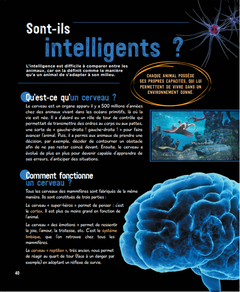 Le grand livre de l'intelligence animale