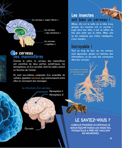 Le grand livre de l'intelligence animale