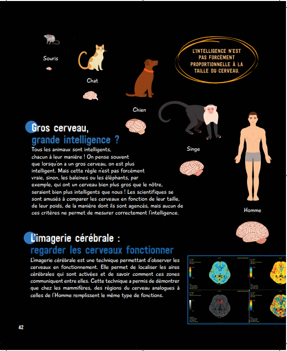 Le grand livre de l'intelligence animale
