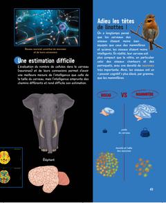 Le grand livre de l'intelligence animale