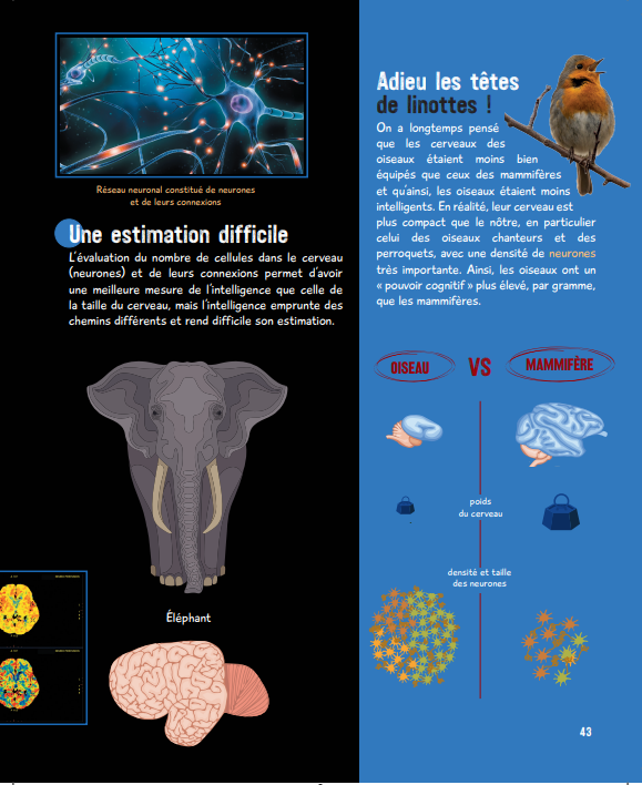 Le grand livre de l'intelligence animale