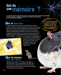 Le grand livre de l'intelligence animale