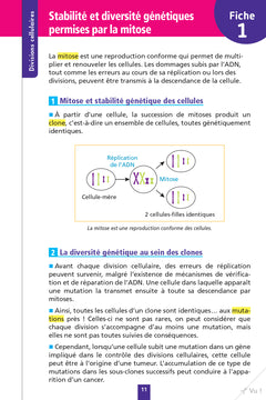 Objectif BAC Fiches détachables Spécialité SVT tle