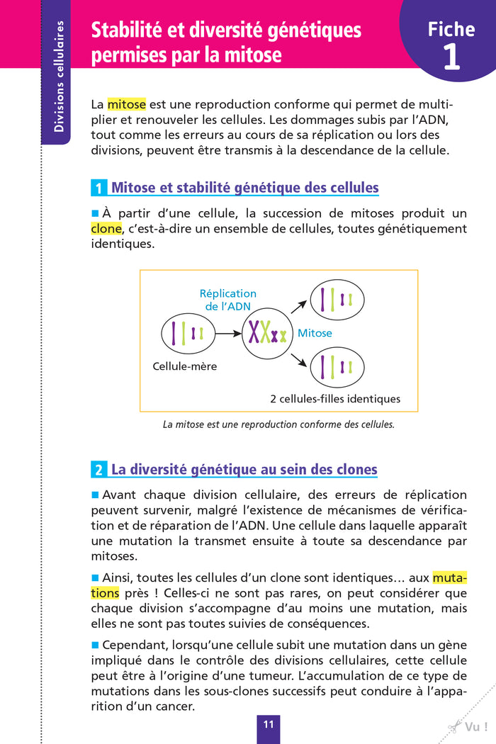 Objectif BAC Fiches détachables Spécialité SVT tle