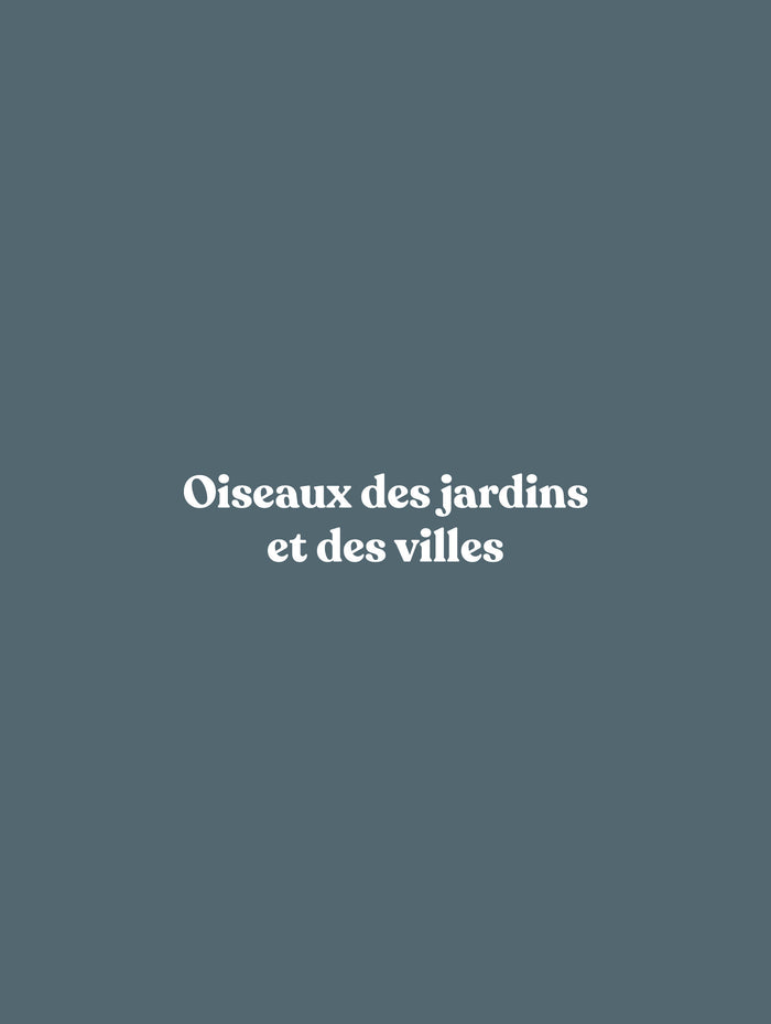 Le grand atlas des oiseaux