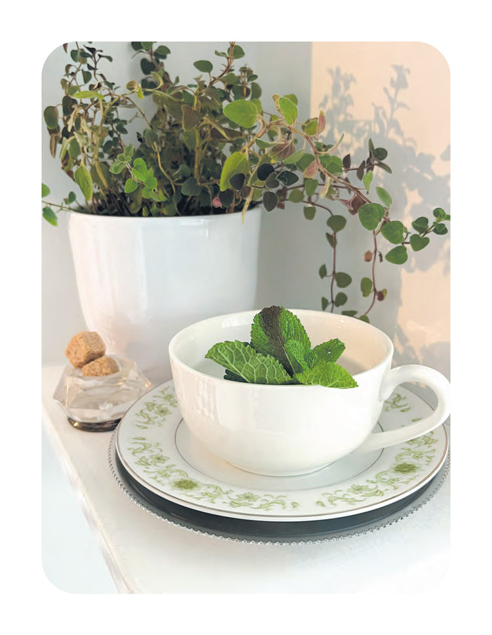 jardins de senteurs - projets aromatiques et secrets de parfumerie