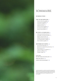 Merveilleux papillons