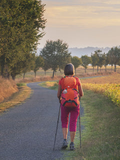 Compostelle Le grand pèlerinage