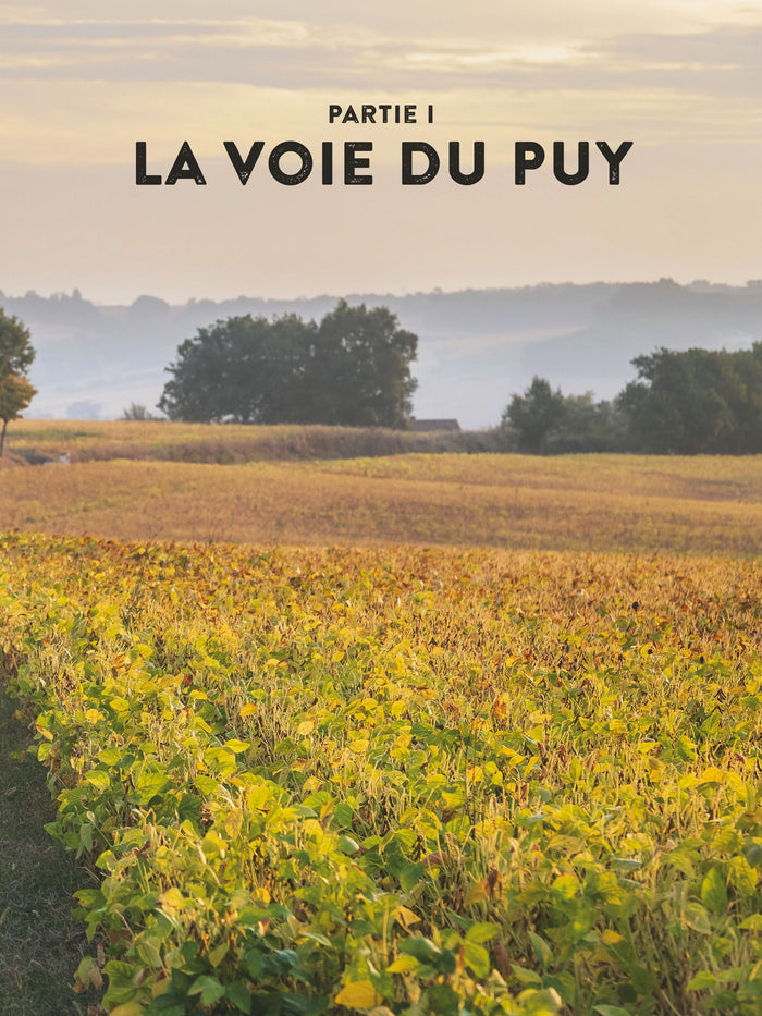 Compostelle Le grand pèlerinage