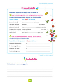 Pour comprendre dictées CM2