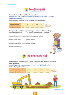 Pour comprendre résolution de problèmes CM2
