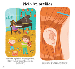 Les 5 sens