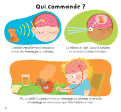 Les 5 sens