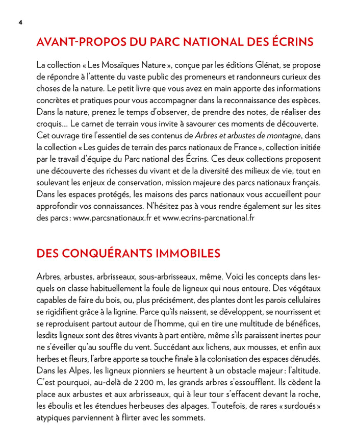 Arbres et arbustes de montagne