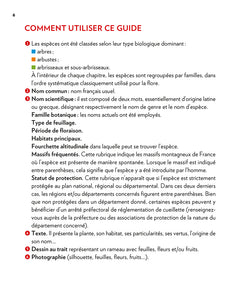 Arbres et arbustes de montagne