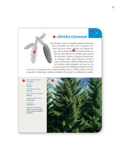 Arbres et arbustes de montagne