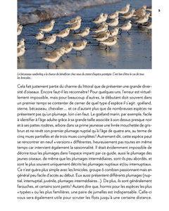 Oiseaux du littoral