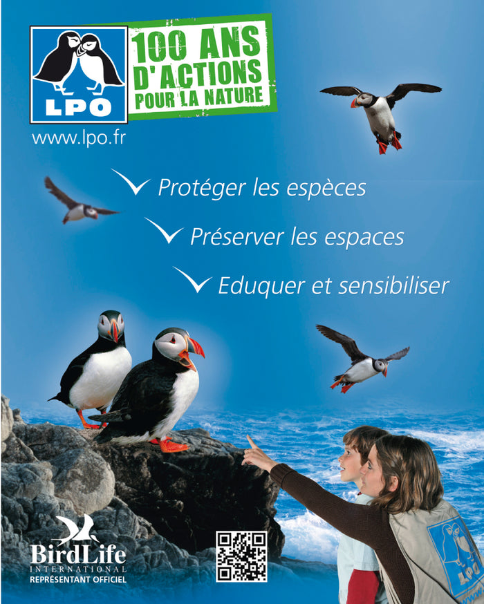 Oiseaux du littoral
