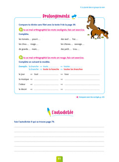 Pour Comprendre Dictées CE1